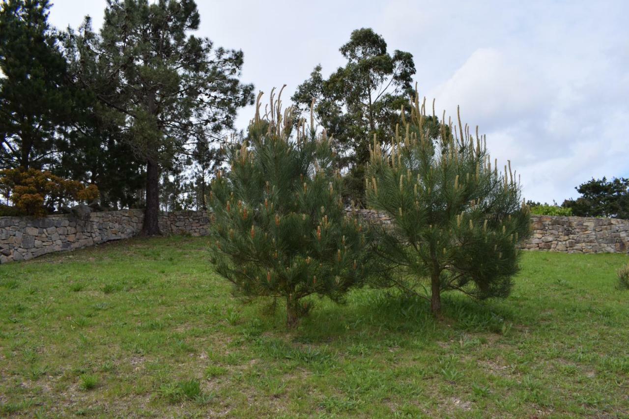 Xavina Camarinas旅馆 外观 照片